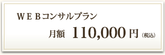 WEBコンサルプラン 月額100,000円（税別）