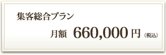 集客総合プラン 月額600,000円（税別）