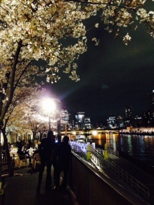 大川沿いの夜桜見物